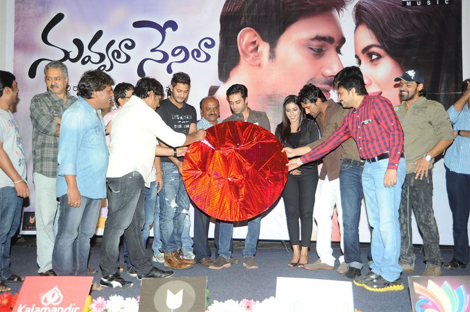 Nuvvala-Nenila-Audio-Launch
